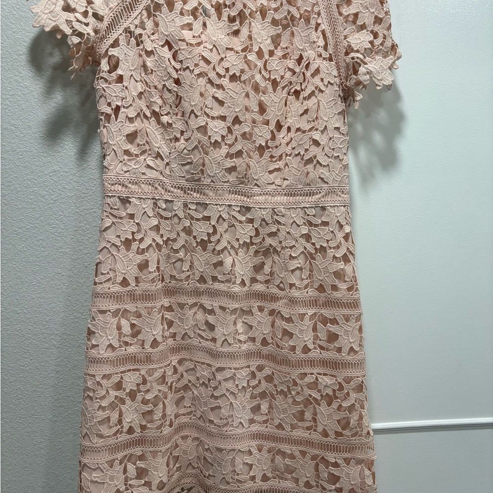 Blush Pink Lace Fit & Flare Dress